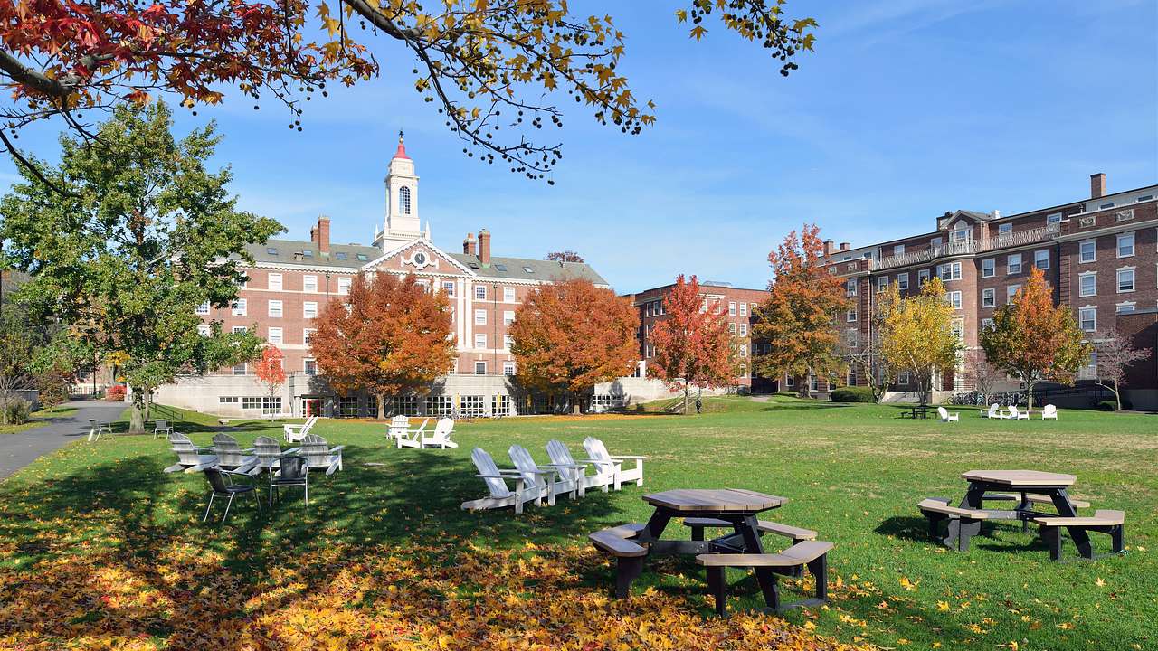 Wooden benches on a lawn in front of old buildings near trees during fall