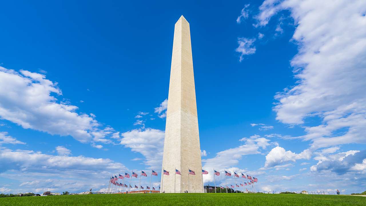 A white obelisk with US flags surrounding its base
