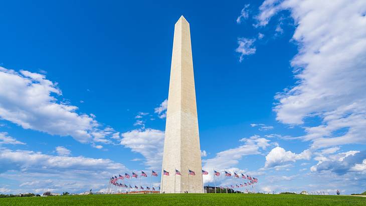 A white obelisk with US flags surrounding its base