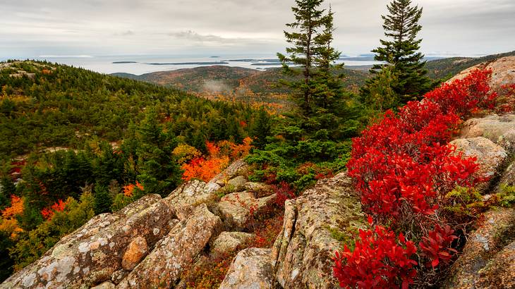 Fall is the best time to visit Acadia National Park for hiking and biking