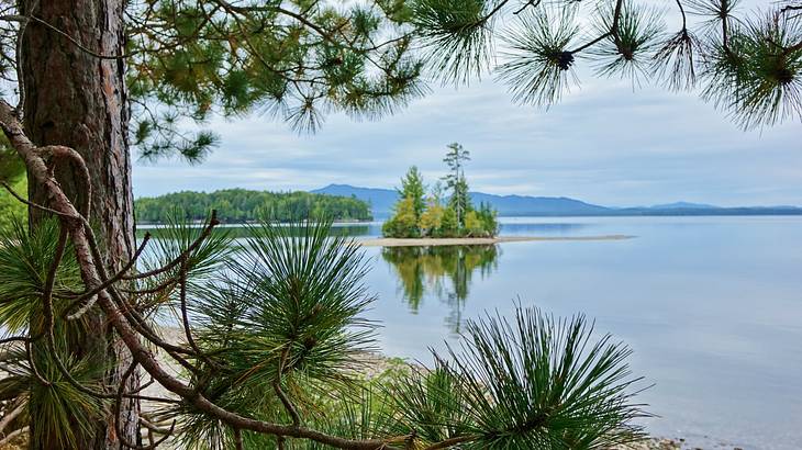 A body of water with pine trees around it on a cloudy day