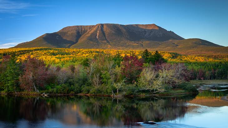 A body of water with trees and mountains in the background on a clear blue day