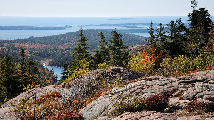 A view of a body of water with islets from a mountain with colorful trees