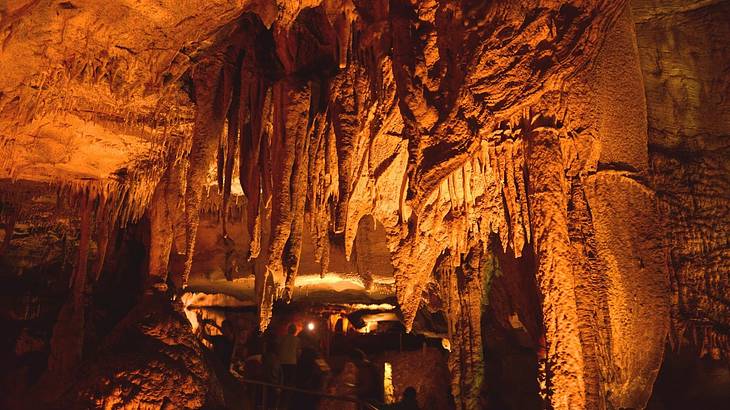 The interior of a dark cave with stalagmites on the cave roof