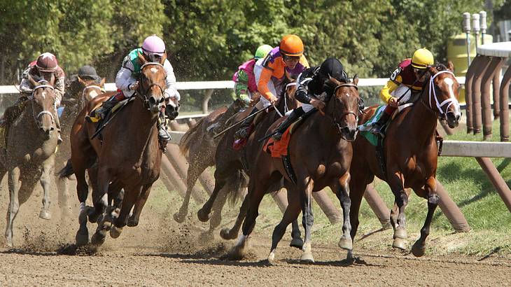 Several people on horseback in a race Several people on horseback in a race