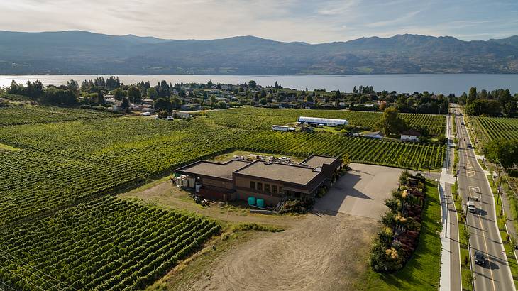 Aerial shot of a vineyard and a large building with water and mountains at the back