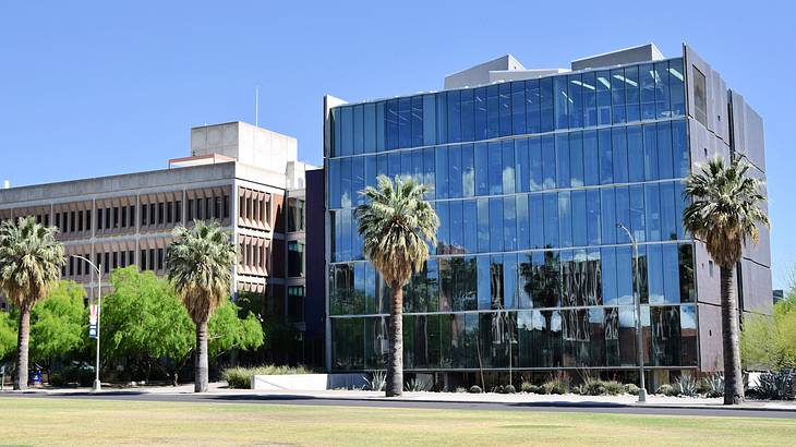 A modern glass-front building near palm trees and empty roads in the foreground