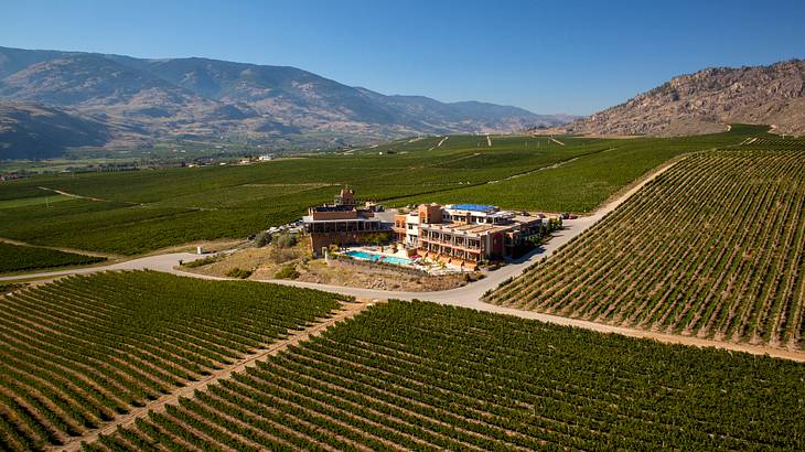 Aerial view of a winery estate building surrounded by vineyards and mountains