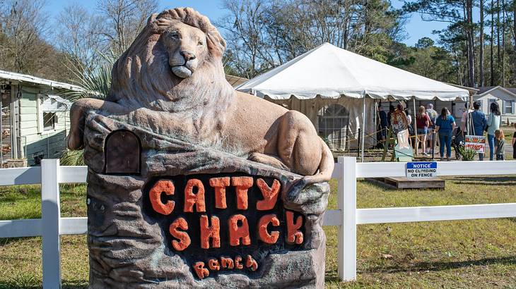 A sign with a lion statue that says "Catty Shack Ranch"