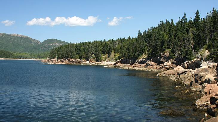 A rocky coastline with trees and water and mountains at the back A rocky coastline with trees and water and mountains at the back