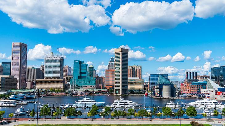 A view of the Baltimore city skyline next to trees and water with boats on it