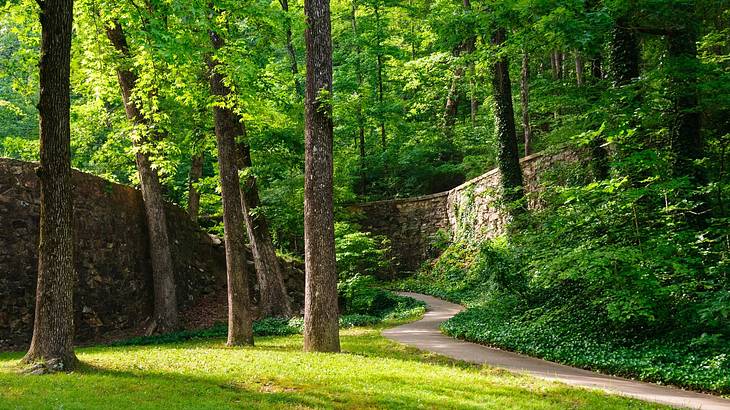 A tranquil, lush green forest with a winding path and walls
