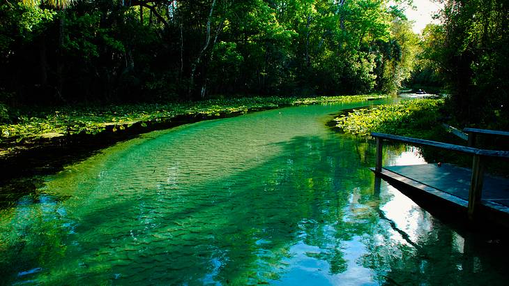 Emerald river with crystal clear water, surrounded by rich green vegetation