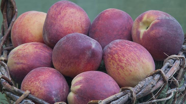 Red and yellow-colored peaches in a wooden basket