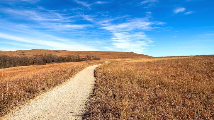A pathway surrounded by brown grass under a partly cloudy sky