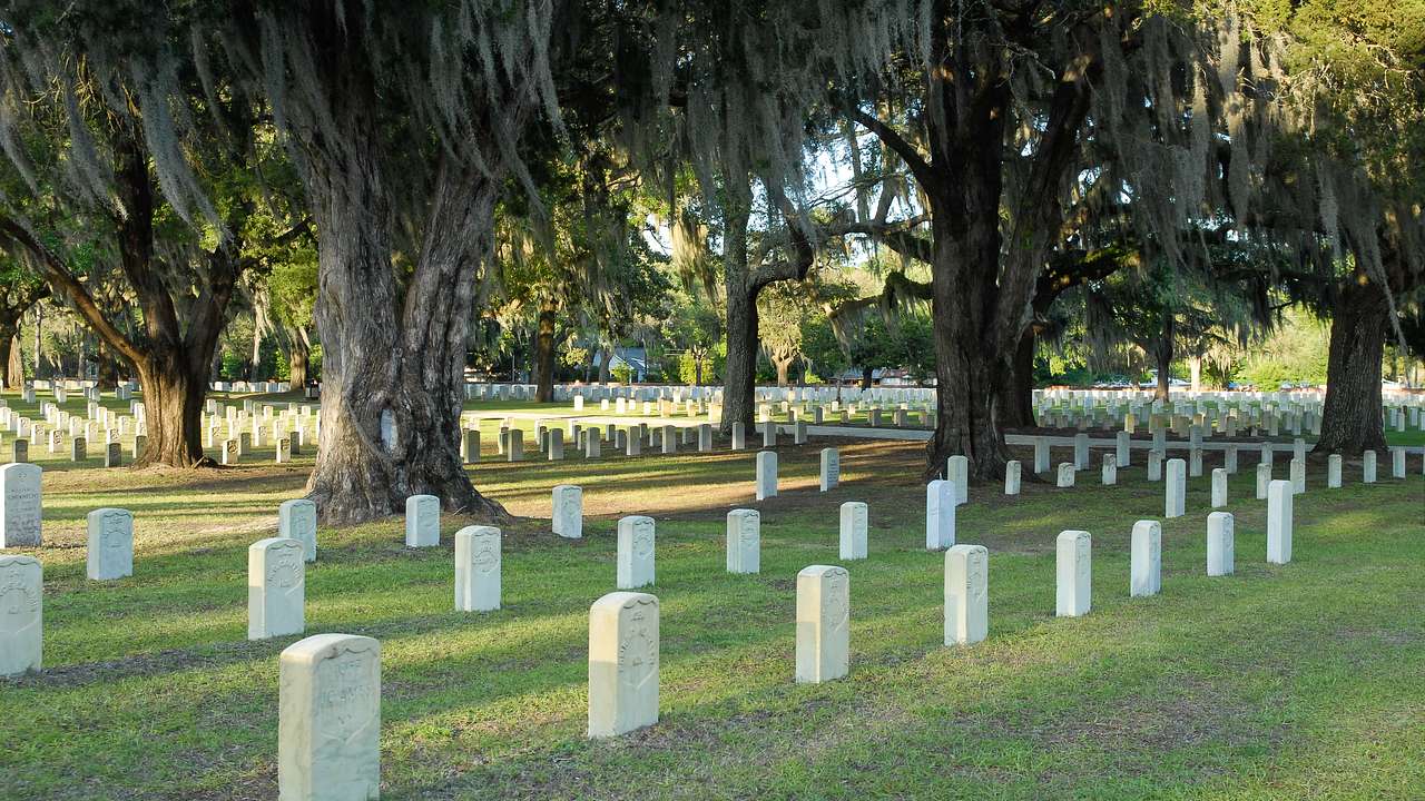 White tombstones arranged in rows on green grass and beneath tall trees