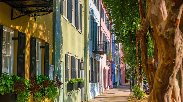 Colorful houses and trees aligned on a path walk