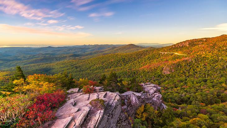 Rocks with flowers and plants overlooking mountains and lush forest