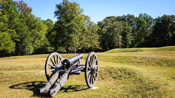Vintage cannon on a green lawn with green forest in the background