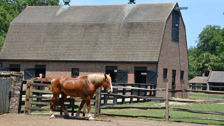 Wooden stable in the background with a fence and brown horse in front
