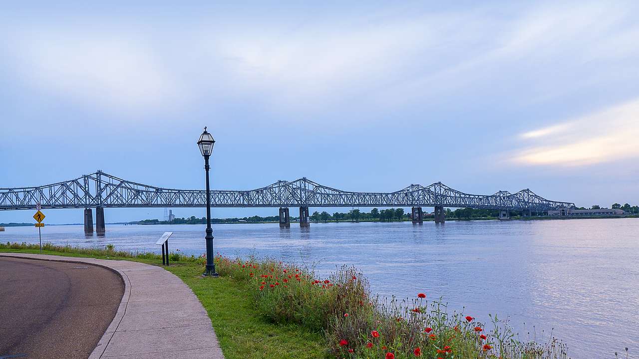 Red flowers along a river walkway and a steel bridge in the background on a clear day