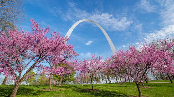 Gateway Arch is one of the most renowned landmarks in St. Louis, Missouri