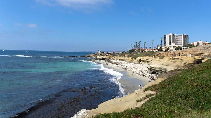 The ocean next to a sandy shore and greenery with buildings in the distance