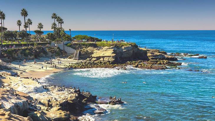 A cove with ocean and sand surrounded by rocks and palm trees