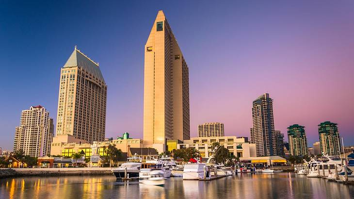 Tall buildings next to a marina with boats in it under a pink and purple sky