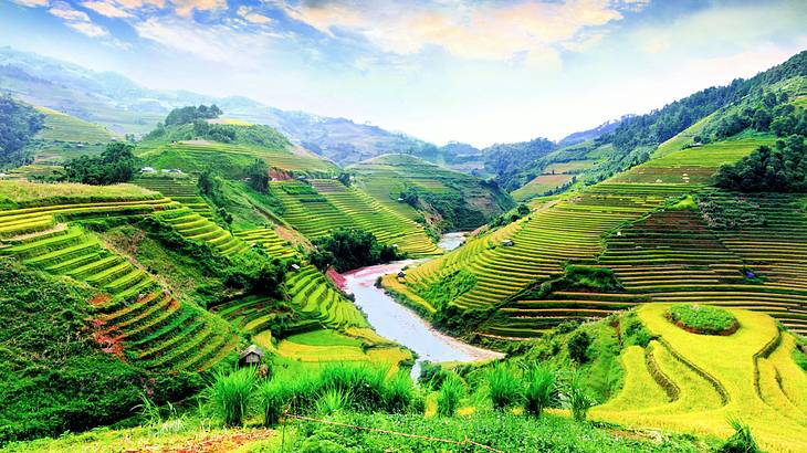 Rice field terraces near a river under a cloudy sky