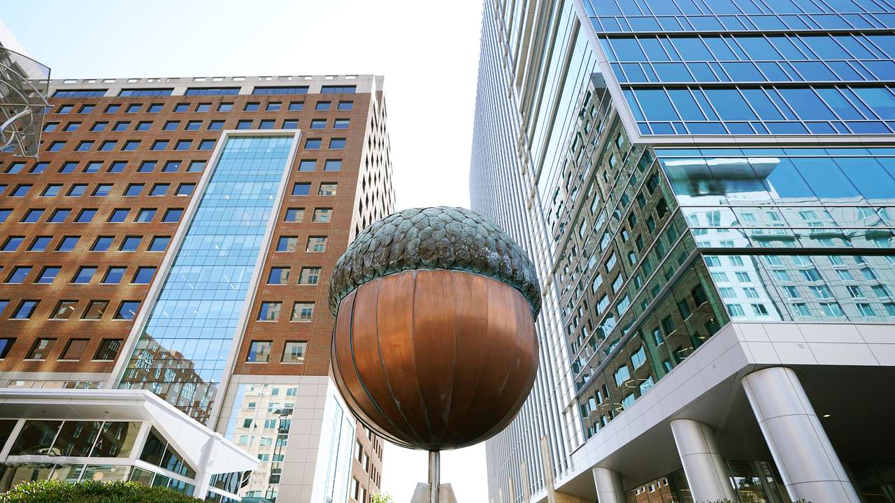 One of the unique Raleigh nicknames is the Big Acorn