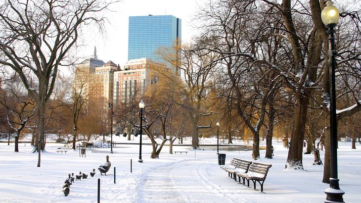 A snowy park with benches and trees as well as buildings in the distance