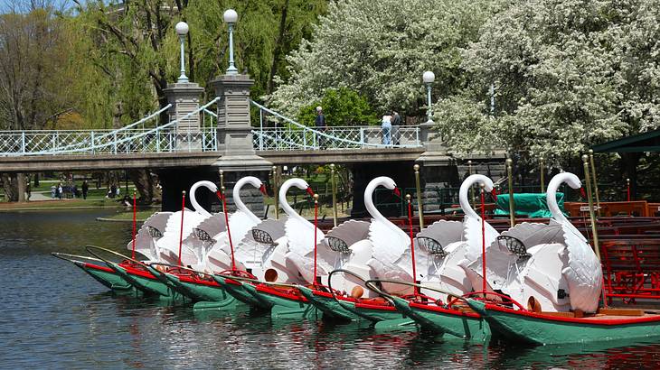 A group of swan boats in a river with a bridge and trees in the distance