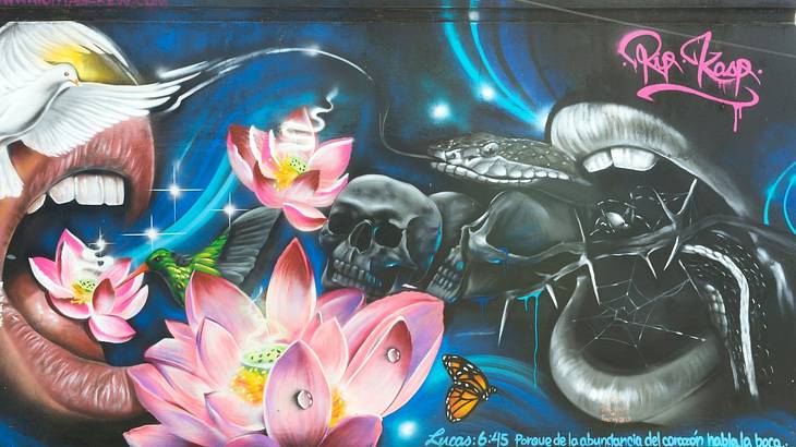 A street art mural with mouths, pink flowers, a dove, and a skull