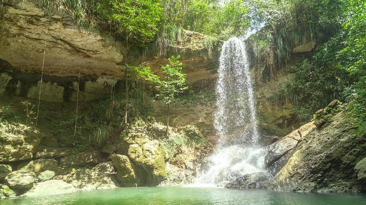 A waterfall cascading into a pool with rocks and greenery around it