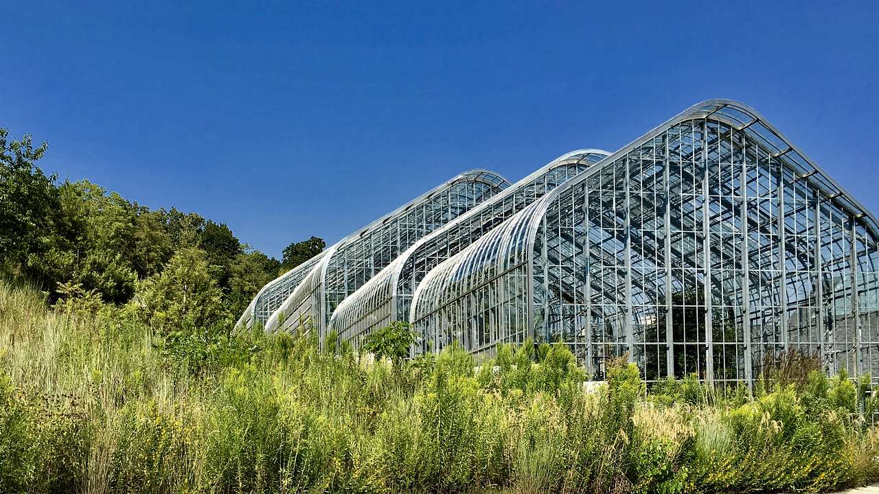 A greenhouse with a triangular shape roof next to greenery and a blue sky