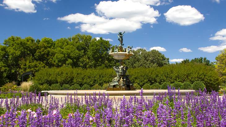 A fountain with sculptures in it surrounded by violet flowers and trees at the back