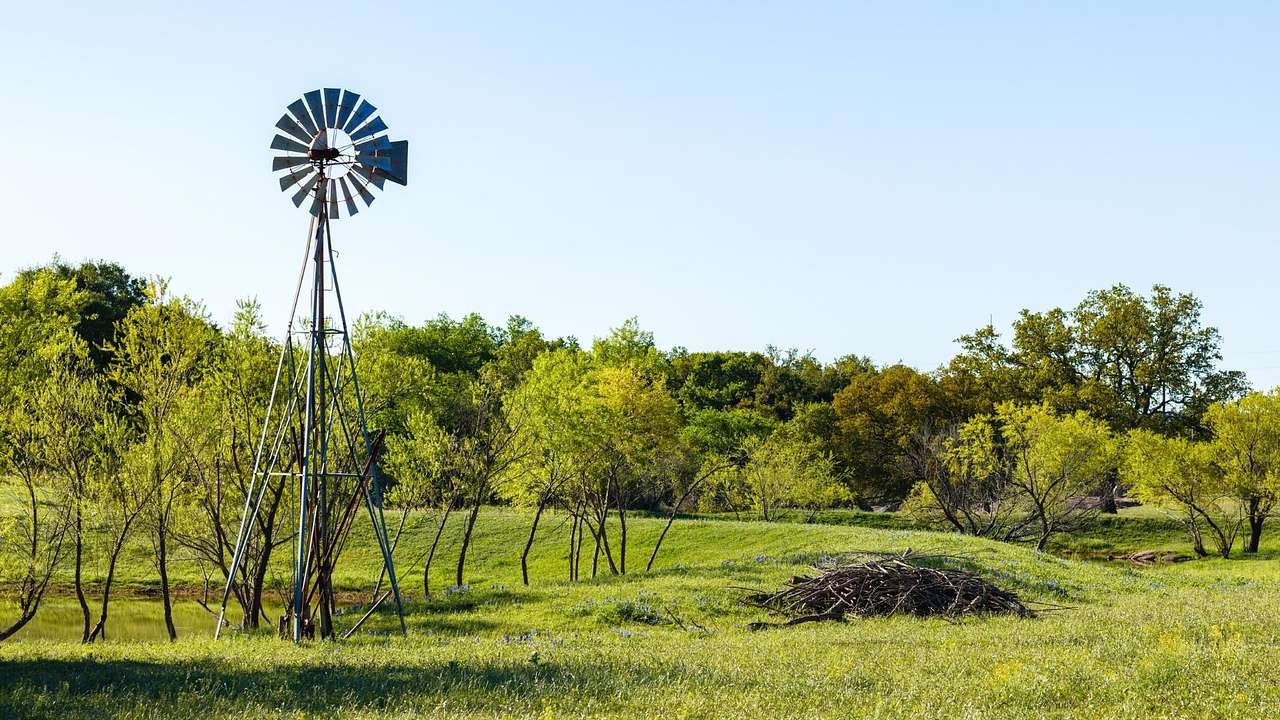 A metal windmill in a grassy field surrounded by trees under a clear sky