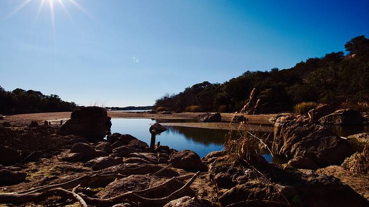 A rocky beach with a body of water and trees in the background on a clear day