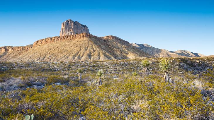 A rocky mountain range with yellow dry bushes at its base and a clear blue sky above