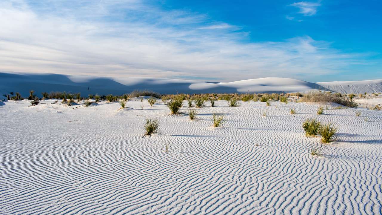 A white sand desert with scattered green bushes under a partly cloudy sky
