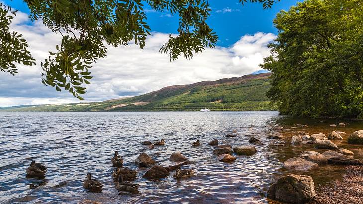 Water lightly crashing against a rocky shore with a green hill at the back Water lightly crashing against a rocky shore with a green hill at the back