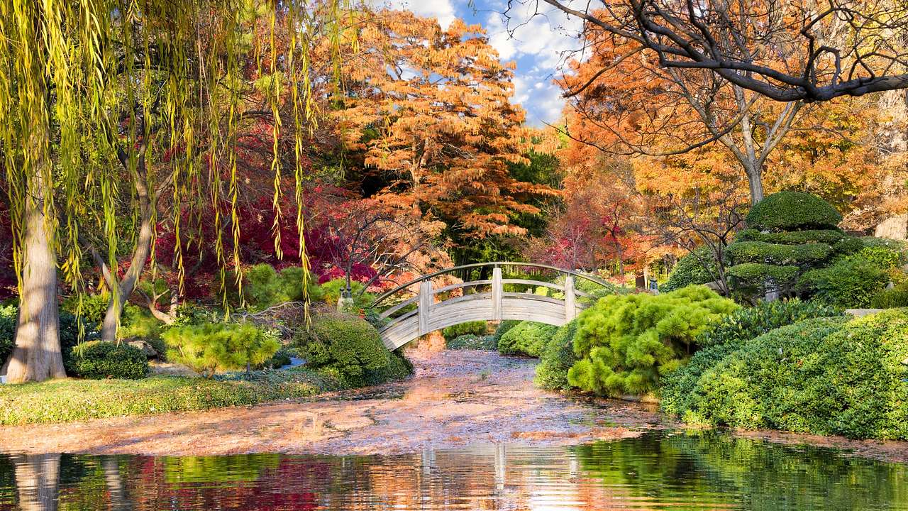 A wooden bridge over a pond surrounded by red, orange, and green trees