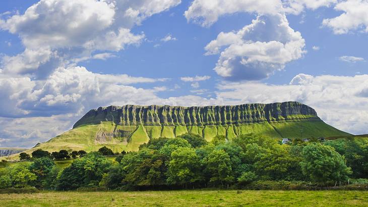 A valley with trees at the foot of a green flat-topped mountain