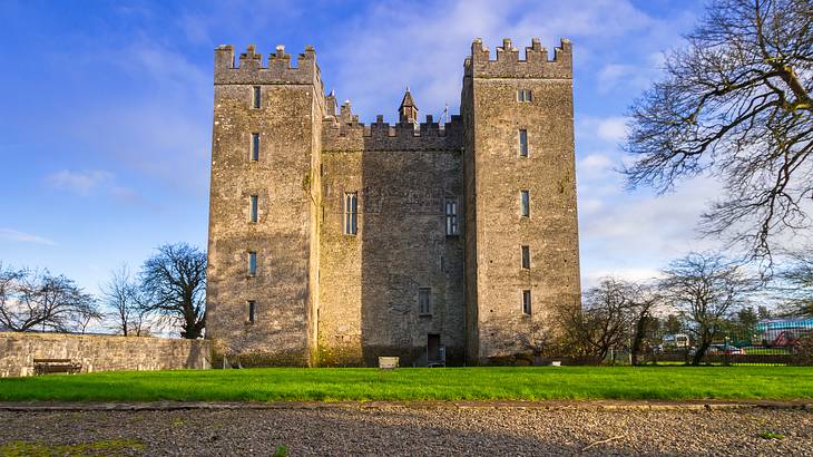 A medieval castle surrounded by leafless trees and green grass in front