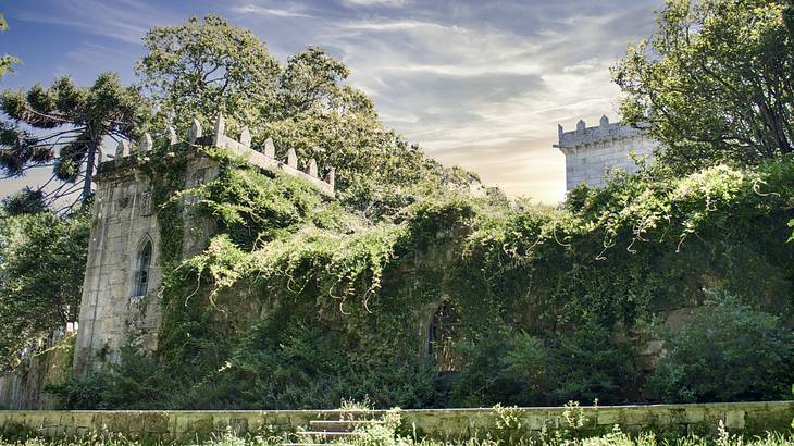 The wall and tower of a medieval castle covered with green plants from below