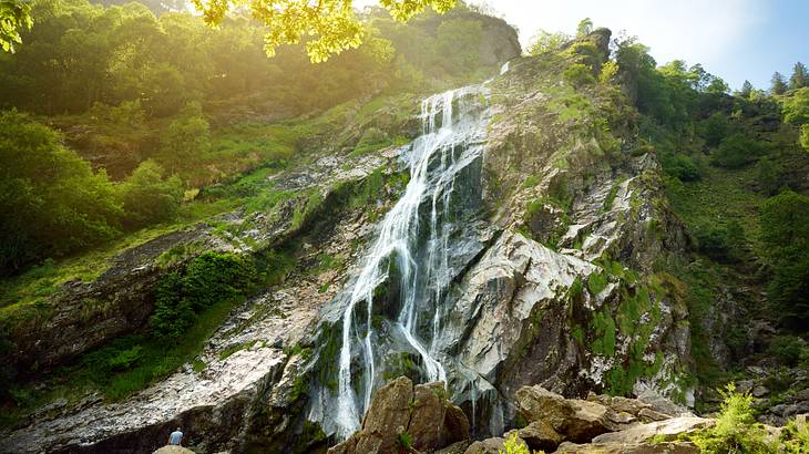 Water cascading down a rocky cliff surrounded by greenery from below