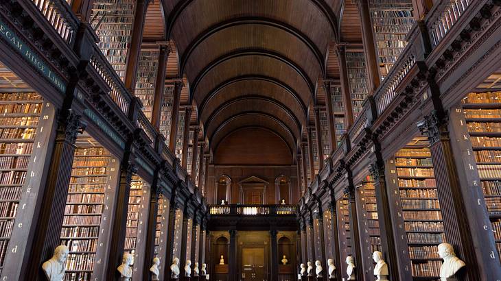 The inside of an arched hallway lined with busts and books on the walls