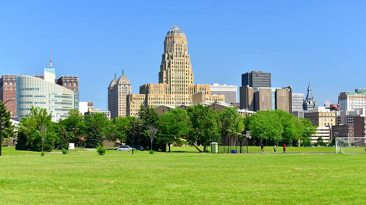 City skyline near a grassy park and trees on a sunny day