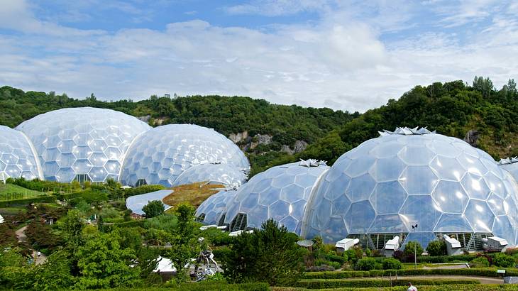 A bunch of white domes surrounded by lush nature on a sunny day